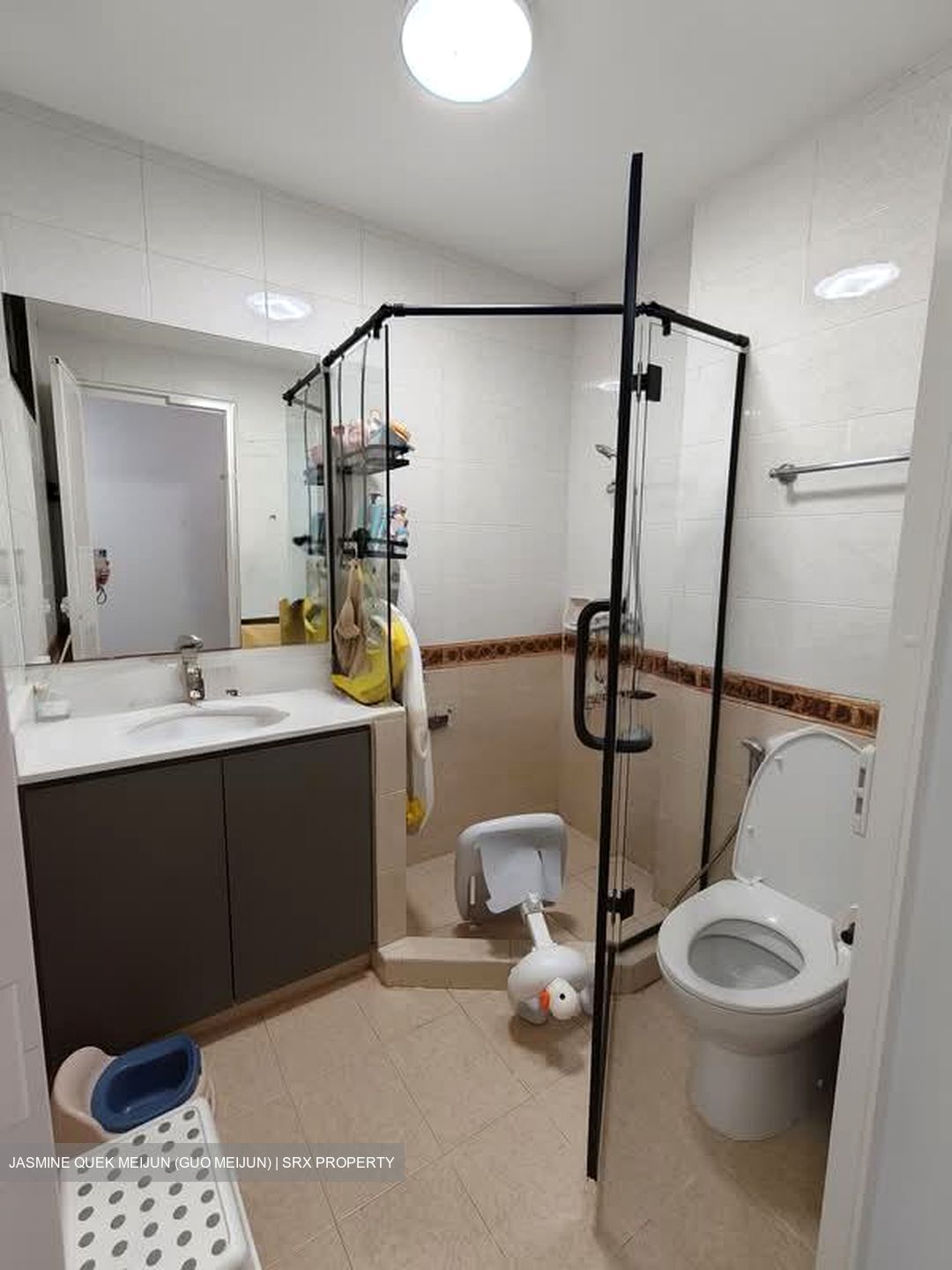 Seasons Park (D26), Condominium #602107321